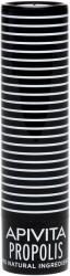 APIVITA Ajakápoló stift propolisszal (4, 4 g)