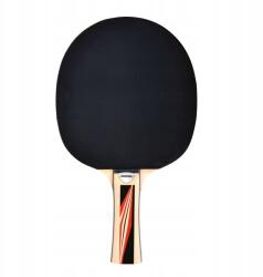 Master Asztalitenisz Ütő Ping-pong Edzés Haladó Virágtartók Számára (4900975081881)