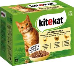 Kitekat Tasakos macskatáp, 12 x 85 g - Baromfiválogatás zselében - 1.020 g