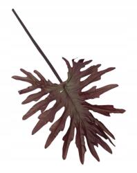 Wera Filodendron levél XL 82 cm gumis, bordó (L318)