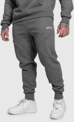 Iron Aesthetics Férfi melegítőnadrág Iron Aesthetics ASTHX, szürke: M Szürke