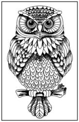  HD gumi pecsételő 7 x 11 cm - Bagoly