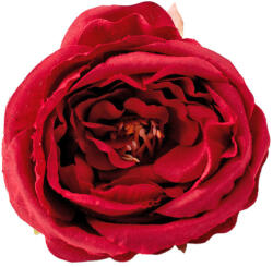 Valex Decor Peónia selyemvirág fej, 7cm - Bordó (LD059-05)