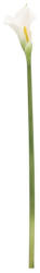 Bizzotto Set 24 Cale artificiale 8x61h (0170655)