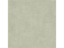 Pastorelli Colorful Avocado 60x60 RT (P012916)