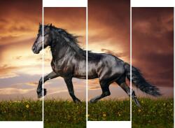 Média vászonfestmény, lovak 3, 120 x 95 cm, 4db