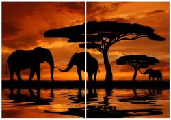  Media Festmény, 2 db, Elefánt 2, 100 x 70 cm