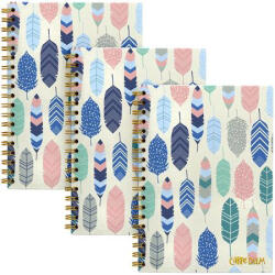 Pukka Pad Spirálfüzet, B5, vonalas, 80 lap, FSC, PUKKA PAD Carpe Diem, toll minta (9379-CD)