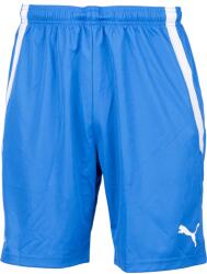 PUMA Team Liga Shorts (70492402-fkmb)