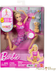 Mattel Feltöltődés - Barbie Meditációs Baba (JJN55) (JJN55)