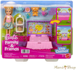 Mattel - Chelsea Teadélután (JJB40) (JJB40)