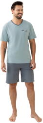 Regina Pijama bărbați REGINA 504 verde: L (33118 L)