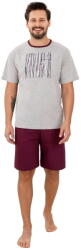 Regina Pijama bărbați REGINA 500 melange: 3XL (33115 3XL)