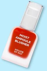 House of HUR Fard de obraz lichid Moist Ampoule Blusher - 20 ml No. 10 Grape Heat