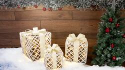 TRACON Set cutii, cadouri de Crăciun, alb, auriu, cu baterii(X24030) Timer 6+18h, 10LED, 3000K, 3x2xAA (CHRGGSET60WW)