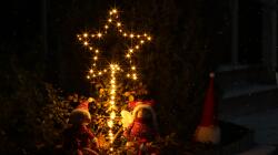 TRACON Stea iluminată cu LED pentru grădină, cu baterii. Timer 6+18h, 80LED, 3000K, IP44, 3xAA (CHRSTO80WW)