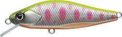 Evergreen NELMEZZO 50FS 5.0cm 5gr #32 SIGHT CHART YAMAME