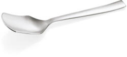 WAŚ Set 12x Lingurita inox pentru inghetata NP80 (506000) Tacam