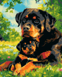Alkotásutca Rottweiler kölyökkutya - Számfestő készlet kereten 40x50