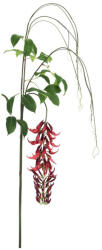 Bizzotto Set 4 flori artificiale rosii verzi Kaylin 210 h (0170711)