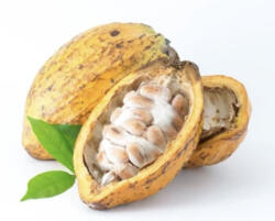  Baby Fruct De Cacao Aprox 250g/buc Set 2 Bucati
