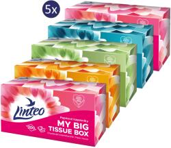 Linteo papírzsebkendők 2 rétegű dobozban 5 x 200 db