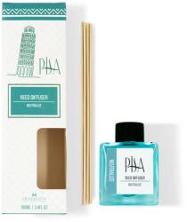  Odorizant de camera Pisa Neutralize AntiTabac 100 ml aroma Antitabac