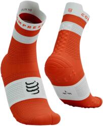 Compressport Pro racing socks v4.0 run t1 - sportisimo - 35,19 лв