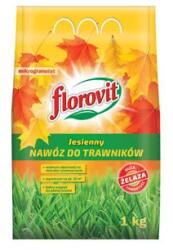 GRUPA INCO Florovit toamna gazon 1kg (3352)