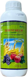 Fitofarmacia Agrenvi Fungicid Tebustar EW 1L (2683)