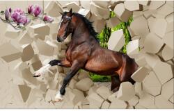 MÉDIA Tapéta, Vágta akadályokon keresztül, 270 x 200 cm (FOTOTAP2115)