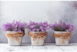 MÉDIA Matrica tapéta Flori71, 250 x 200 cm (FOTOTAP14488)