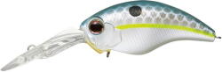 Evergreen Vobler Evergreen Wildhunch 8 Footer 6cm 16.5g #289 Queen Shad (EG085238)