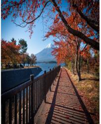 MÉDIA Natura44 öntapadós és mosható fali tapéta, 150 x 205 cm (FOTOTAP5517)