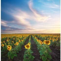 MÉDIA Öntapadó és mosható fali tapéta Natura66, 150 x 205 cm (FOTOTAP5524)