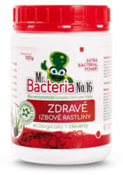 Mr. Bacteria Növénytáp, Mr. Bacteria No. 16, 500 g, szobanövényekhez, bio, talajbaktériumos, vegyszermentes (TC311024MB)