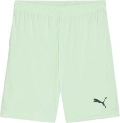 PUMA Teamgoal Shorts (70575260)