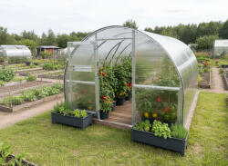 Vitavia üvegház VITAVIA BOHEMY 18000 PC 4 mm LG4174 (LG4174) - kertihobbi