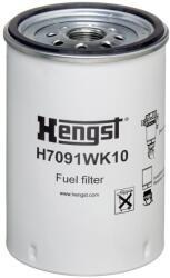 Hengst Filter Palivový filter HENGST FILTER H7091WK10 (H7091WK10)