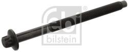 Febi Bilstein Skrutka hlavy valcov FEBI BILSTEIN 43607 (43607)
