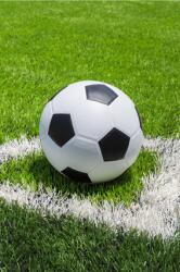 Jerry Fabrics Polár takaró 100x150 cm - Futball (J-24BL045)