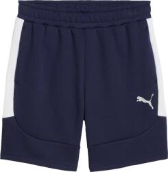 PUMA Teamevostripe Shorts (65995106)