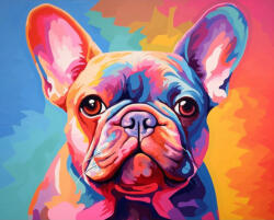 Alkotásutca Színes bulldog - Számfestő készlet kereten 40x50