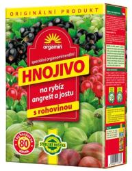 FORESTINA Organikus ribizli és egres 1 kg (8594003193385)