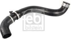 Febi Bilstein Hadica chladenia FEBI BILSTEIN 172431 (172431)