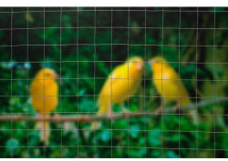  Drótkerítés 13x13 mm galvanizált, 1mx5m