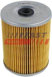 FAST filtru combustibil FAST FT39100 (FT39100)