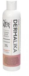  PETSWELL Petswell Sampon Pentru Caini si Pisici cu 3% CHDG Dermalika, 250 ml
