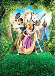 MÉDIA Öntapadó és mosható falfestmény Princess Rapunzel, 150 x 205 cm (FOTOTAP5428)