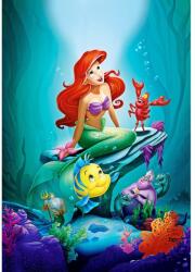 MÉDIA Öntapadó és mosható falfestmény Princess Ariel, 150 x 205 cm (FOTOTAP5426)